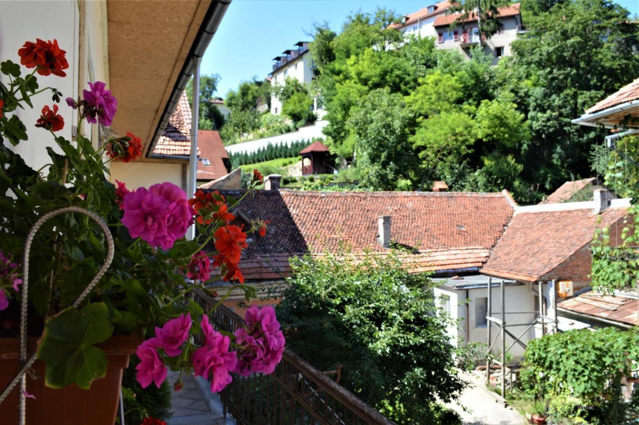 Eco Studio Brasov Exterior photo
